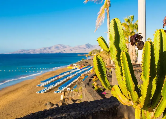 فيلة Bellamar بويرتو ذيل كارمين